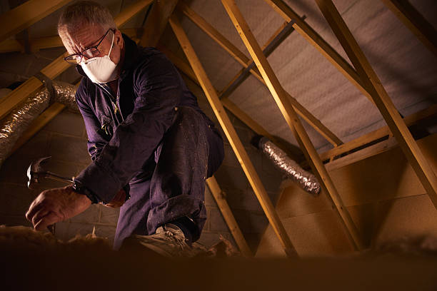 Best Spray Foam Insulation in Mondovi, WI